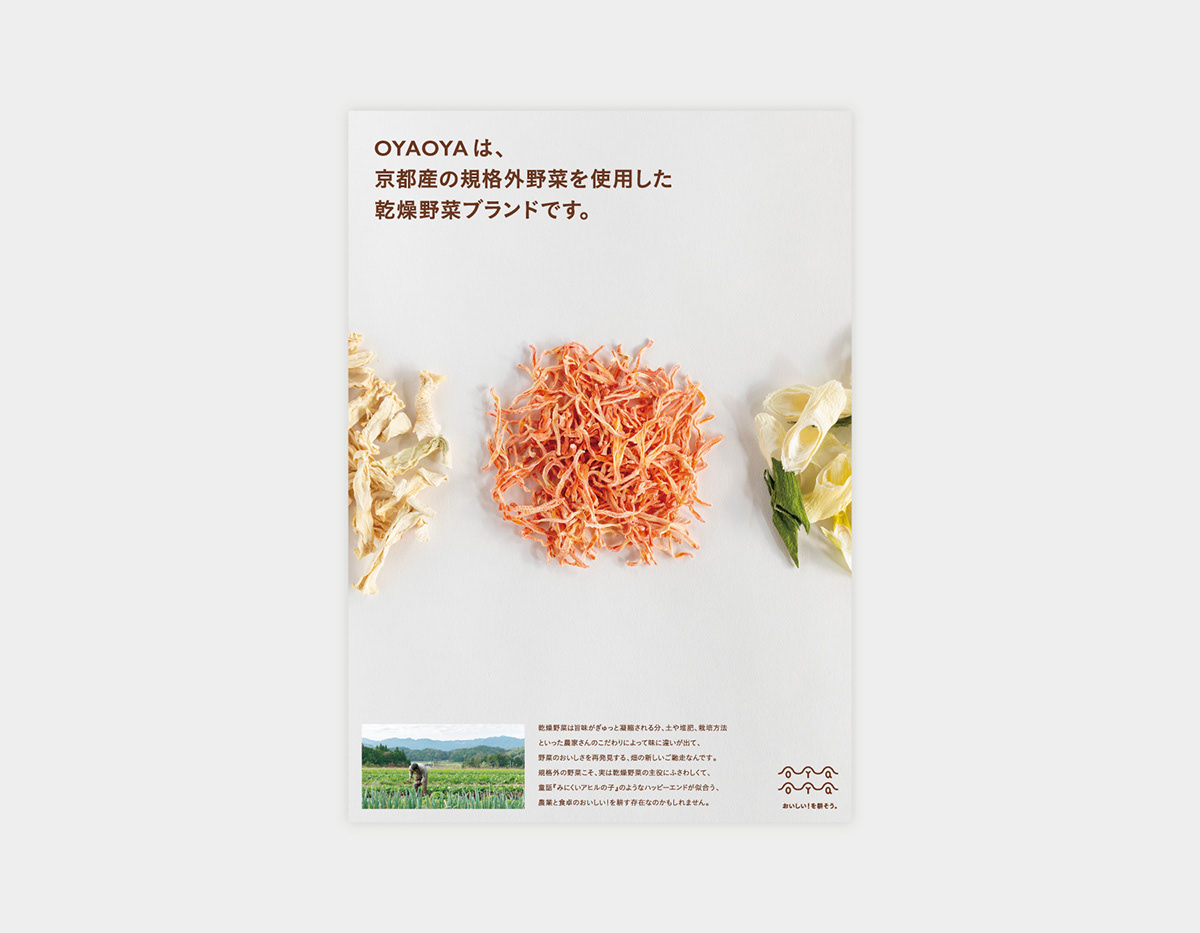 蔬菜干品牌包装设计欣赏